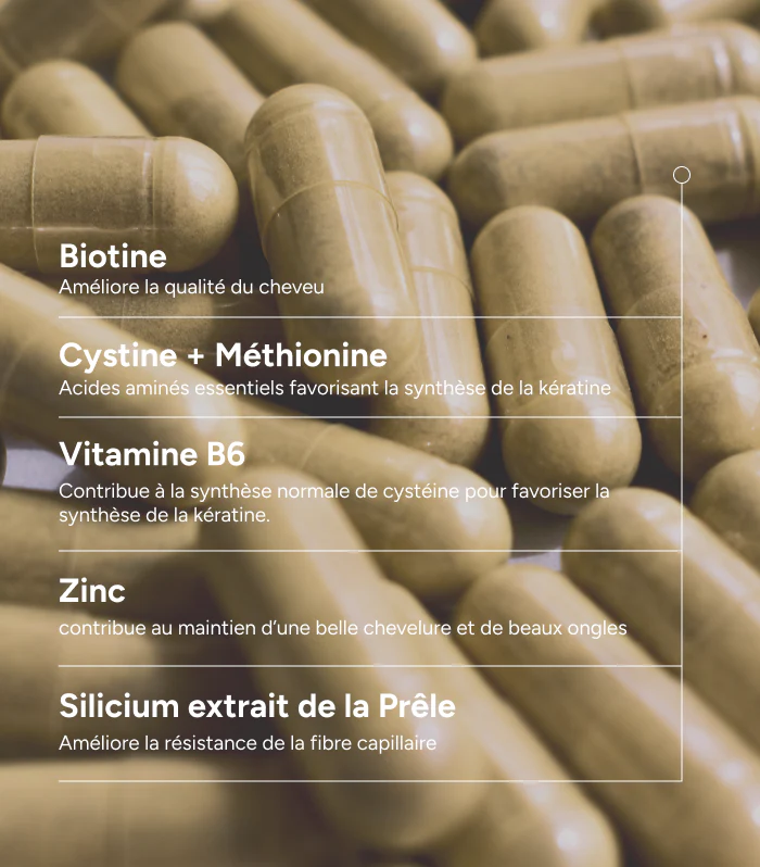 Novophane Gélules - Image 3